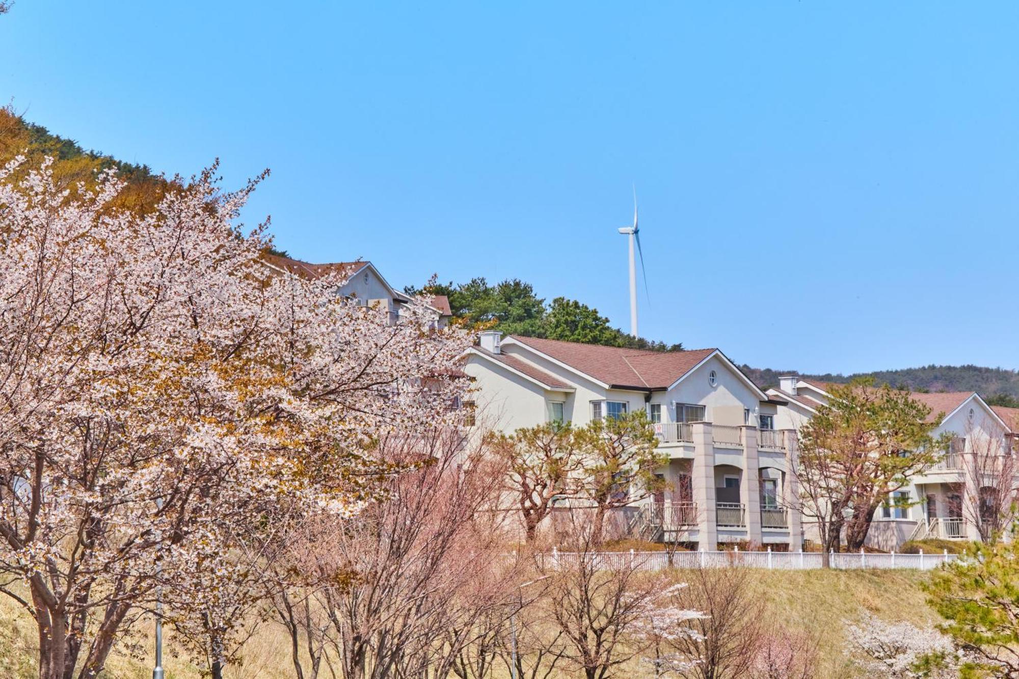 Gyeongju Mauna Ocean Resort Екстериор снимка