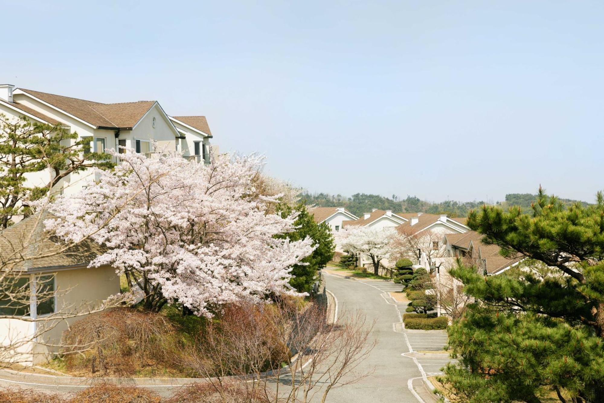 Gyeongju Mauna Ocean Resort Екстериор снимка
