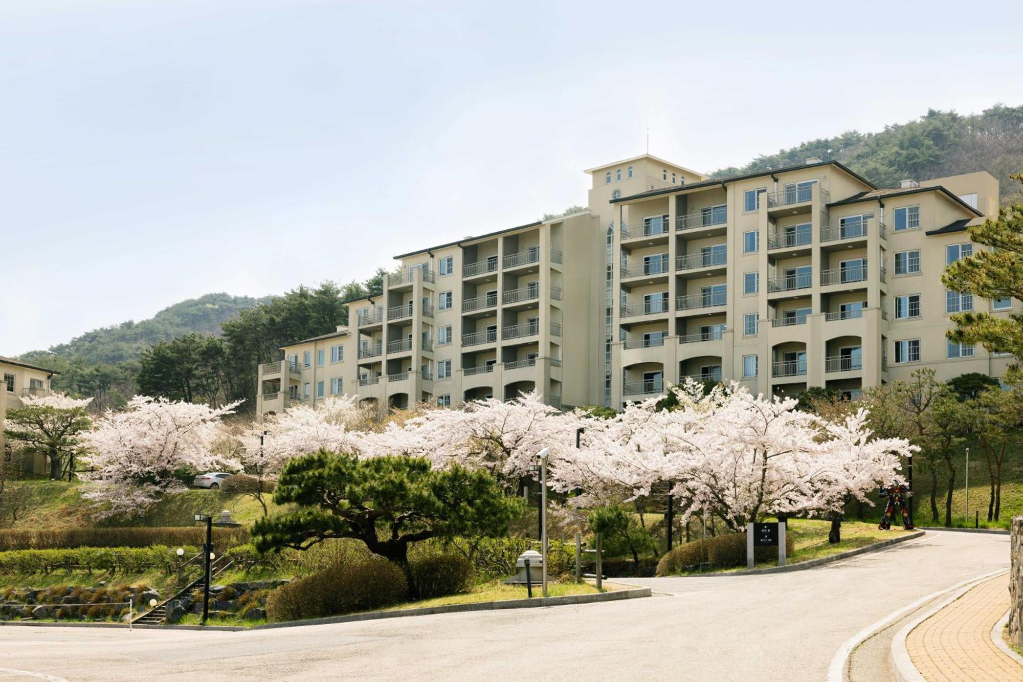 Gyeongju Mauna Ocean Resort Екстериор снимка