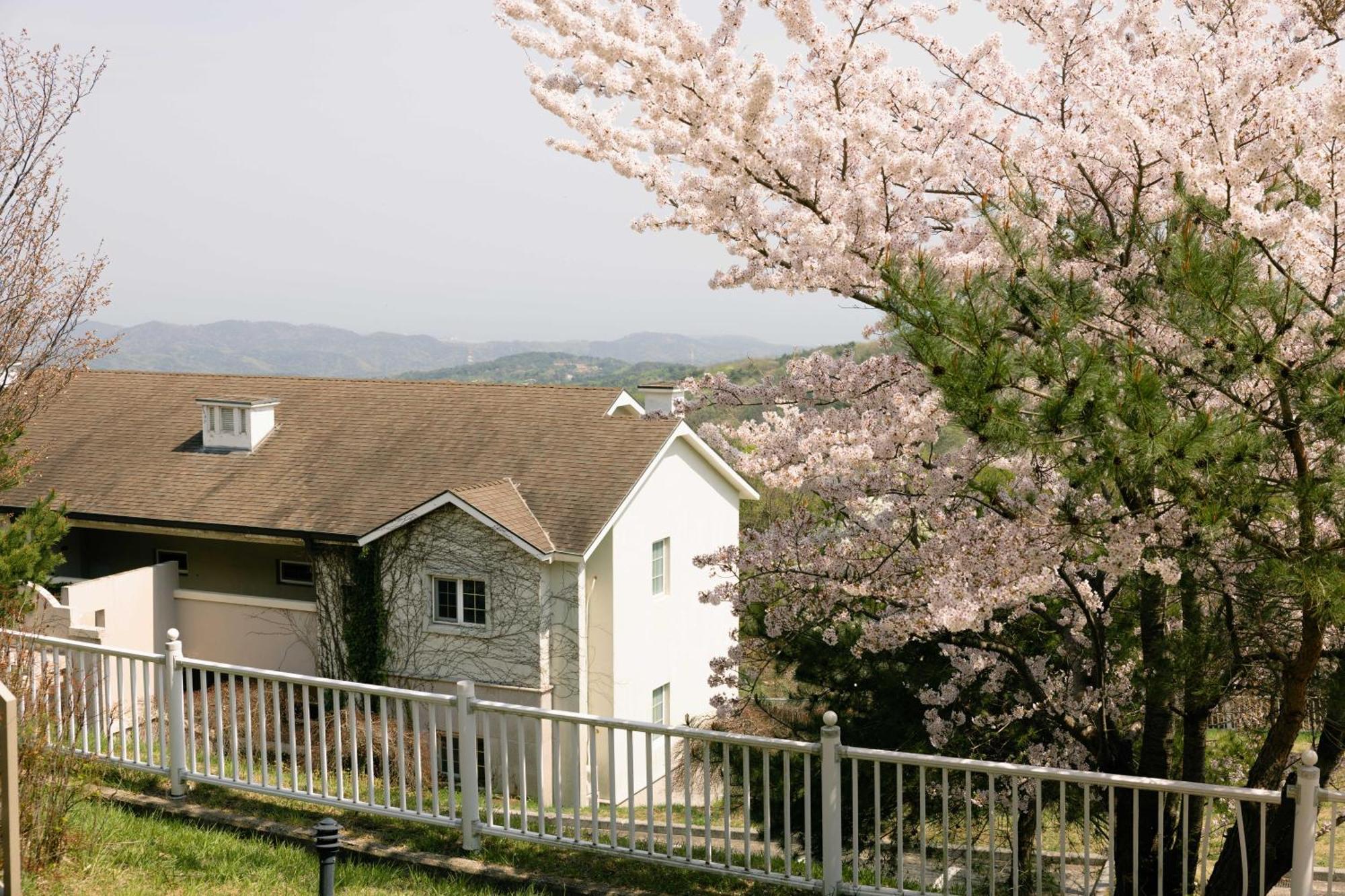 Gyeongju Mauna Ocean Resort Екстериор снимка